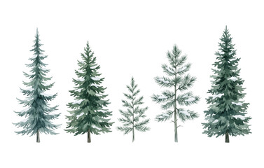 Obraz premium Watercolor Pine Trees Vector Set Forest Winter Christmas Illustration