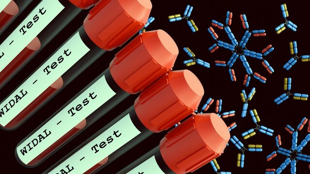 A 3d rendering of medical blood collection tubes with red caps bearing labels printed with "WIDAL - Test", pentameric IgM antibody structure and monomeric IgG antibody structures.