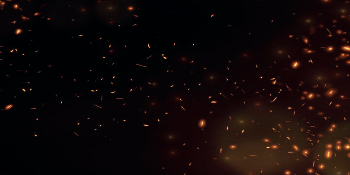 Glowing Fire Sparks and Flying Embers Isolated on Black Background