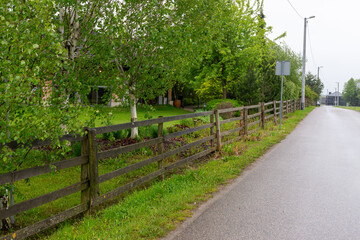 Fototapeta premium Quiet rural road in Krakow outskirts, Poland, bordered by wooden fence, wet asphalt, green grass and silver birch trees, Betula pendula. Fresh spring countryside scene after rain with garden greenery.