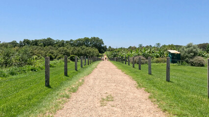 Naklejka premium Symmetrical Gravel Path Lined with Wooden Fence Posts in Byron Bay