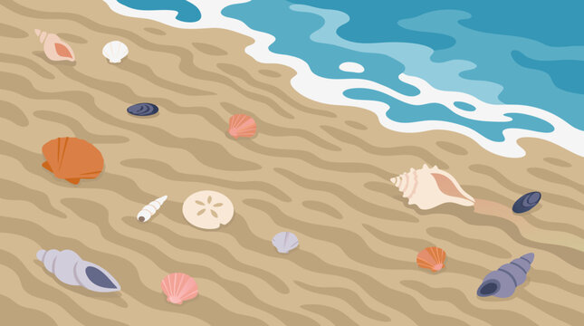 Seashells scattered across rippled wet sand beside retreating turquoise waves, colorful coastal treasures on a peaceful beach in a clean flat vector summer shoreline illustration artwork