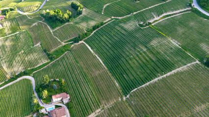 Fototapeta premium Aerial View of Rolling Green Vineyards and Rural Farmhouse in Italy