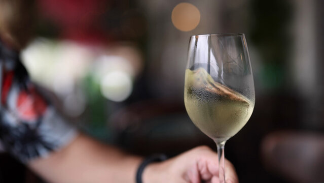 Close Up of Chilled White Wine Glass Held by a Person
