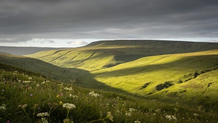Obraz premium Sweeping green hills illuminated by patches of golden sunlight under a brooding overcast sky, with delicate wildflowers in the foreground, perfect for conveying solitude and rural tranquility in edito