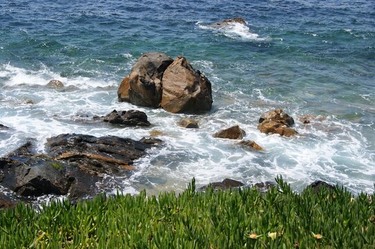 Ocean waves crashing on coastal rocks with green plants. Portugal - Norte