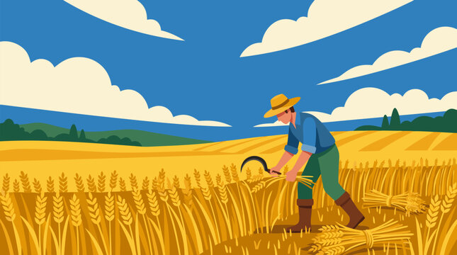 Dedicated farmer harvesting ripe golden wheat with traditional sickle in vast expansive field under bright blue sky with fluffy clouds showcasing rural agriculture and bountiful summer harvest season