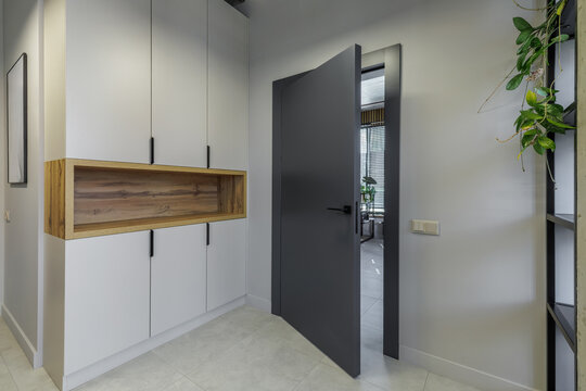 Modern Entrance Hall with White Storage and Grey Interior Door