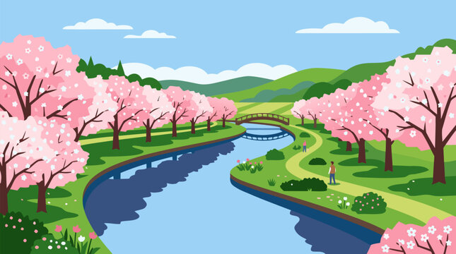 Cherry blossom trees lining a quiet river in early spring, serene sakura park landscape with arched bridge, green hills, blue sky, and blooming pink flowers panoramic vector illustration