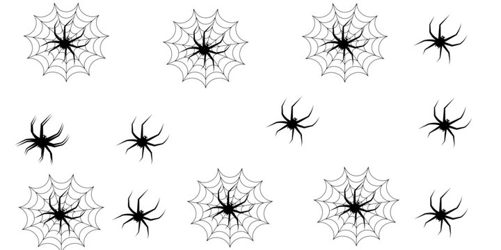 Collection of black widow spiders and webs in various poses Vector, illustration