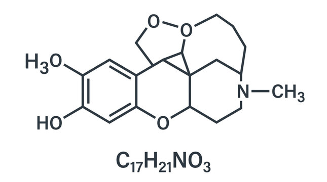 Skeletal chemical structure of Codeine on a clean white background, illustrating chemical composition and representing pharmaceutical research