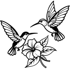 Fototapeta premium hummingbird and flower