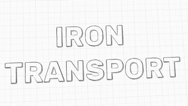 Sketch-style iron transport text animation on grid paper background. Letters form stroke by stroke in a hand-drawn outline style. Ideal for biology, nutrition, medical, or health education content.
