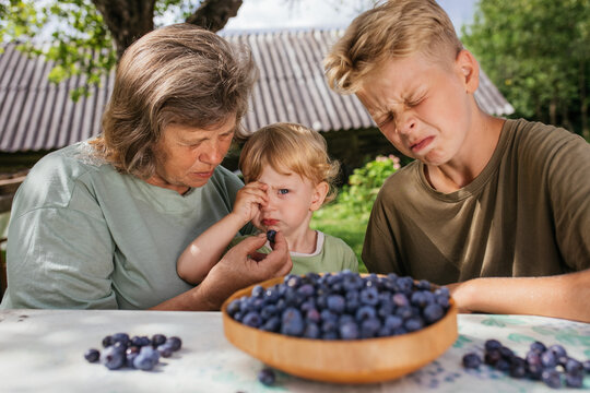 Grandmother feeds girl blueberries outdoors while boy grimaces