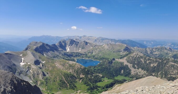 allos