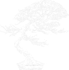 Obraz premium Potted bonsai tree outline vector illustration. Hand drawn sketch of traditional Japanese plant in a ceramic bowl with winding trunk. Minimalist white line art design.