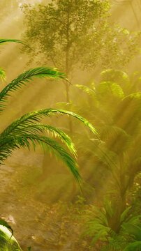 Plants are growing along a path in a forest. Sunlight is shining through the trees. The ground is covered with leaves and small rocks. The scene shows a natural setting.