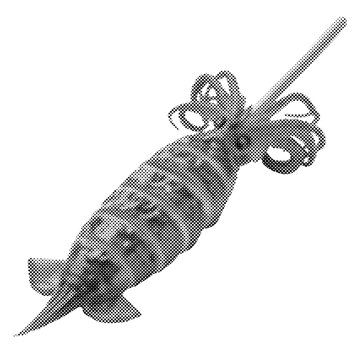 Japanese grilled squid on wooden skewer. Grayscale 3D render of traditional street food ikayaki on isolated background. Asian seafood snack design element.
