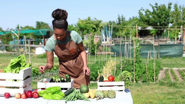 Farmer woman arranging organic vegetables at a market stall