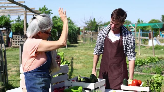 Farmer and senior woman shaking hands at market stall