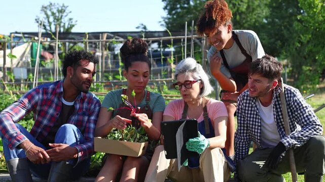 Multiethnic group of farmers using a tablet in a vegetable garden