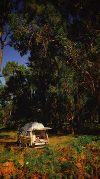 Woman Relaxing in Open Vintage Campervan in Pine Forest &ndash; Van Life Lifestyle