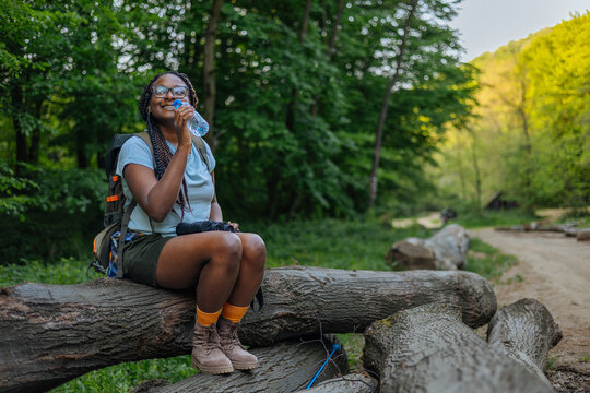 Woman hiker drinking water, resting on logs in forest