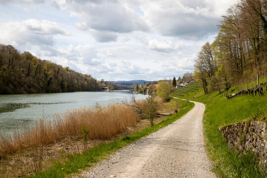 Tranquil spring river landscape with vineyard path and distant bridge in Eglisau, Switzerland