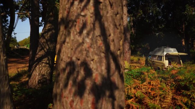 Campervan Hidden in Autumn Fern Forest at Golden Hour &ndash; Wild Camping

