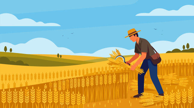Traditional farmer harvesting golden wheat with a curved sickle beneath a wide blue sky, peaceful rural agriculture vector scene of grain fields, summer abundance, and hand labor tradition