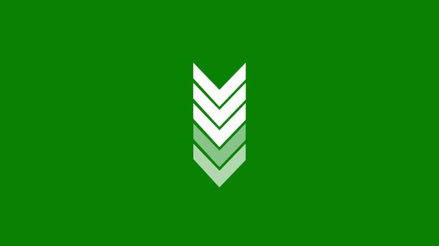 Modern downward chevron arrows animation with reflection on green background