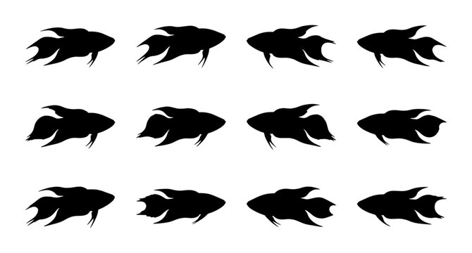 Betta Fish Silhouettes, Aquatic Animal Icons, Siamese Fighting Fish Vector Set, Underwater Life Graphics, Marine Creature Collection