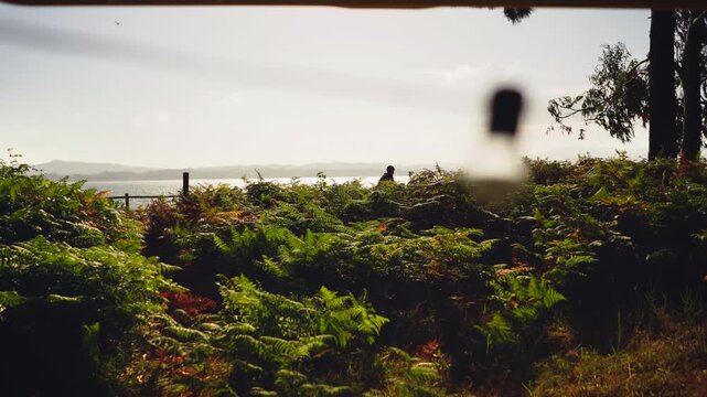 Van Life POV &ndash;String Light Bulb Close-Up of Looking Out Campervan Window at Ferns and Sparkling Sea