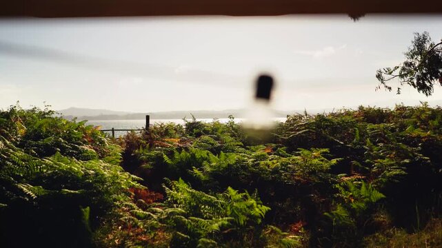 Van Life POV &ndash;String Light Bulb Close-Up of Looking Out Campervan Window at Ferns and Sparkling Sea