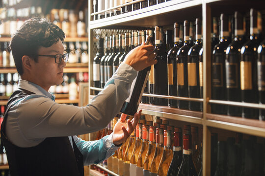 Professional Sommelier Examining Selection of Wine Bottles in Cellar