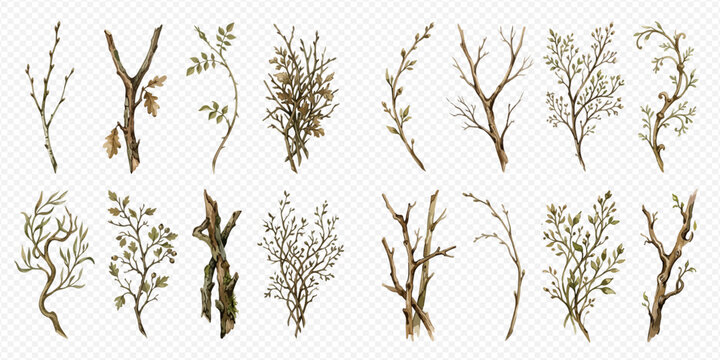Collection of various tree branches and twigs with leaves, isolated on transparent background, natural elements for design.