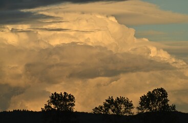 cloud © Adam