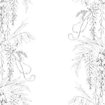 Delicate drooping wisteria flower clusters, feathered leaves on curling vine tendrils. Pencil hand drawn seamless border. Planner covers, botanical magazines, greenhouse signage, scrapbook supplies.