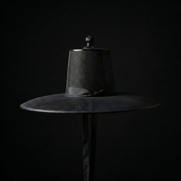Traditional Korean Gat Hat: A transparent, wide-brimmed black bamboo and horsehair Gat hat worn by scholars during the Joseon dynasty, elegant side profile lighting,