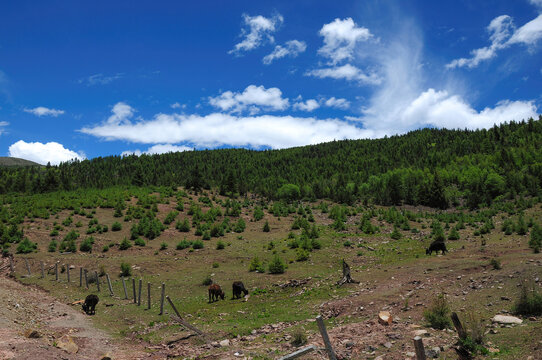 Beautiful mountain landscape with green hills and blue sky