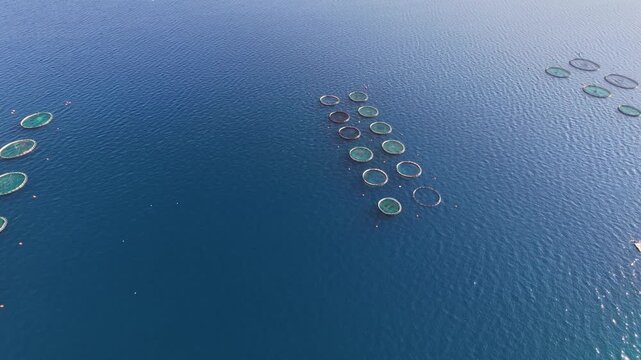 Fish farming (or pisciculture) is the commercial rearing of fish in controlled aquatic environments, such as artificial ponds.