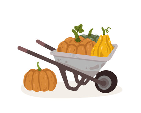 Wheelbarrow filled with pumpkins and squash for autumn harvest. Cute farm scene isolated on white background for seasonal, gardening and agriculture designs. Flat vector illustration.