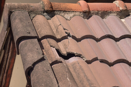 Birds nesting under old roof that loose or broken tiles and eaves.