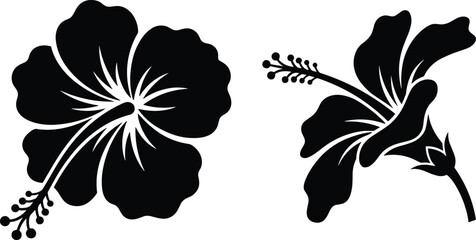 Tropical hibiscus flower silhouette vector elements ideal for Hawaiian summer beach party decorations and floral branding layouts © MSTNAJMA