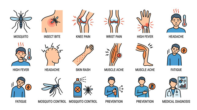Mosquito Bite Symptoms and Prevention Icons Set: Fever, Headache, Rash, Pain