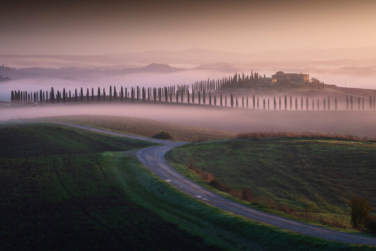 A winding paved road leads the eye toward Ville di Corsano and its long cypress avenue floating above dawn mist in layered mauve tones. Crete Senesi, Tuscany, Italy.