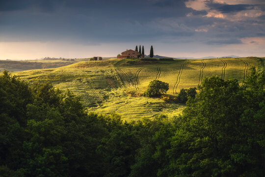 A stone farmhouse with three flanking cypresses sits spotlit on a bright green ridge, dense dark woodland framing the glowing hillside below. Val d'Orcia, Tuscany, Italy.