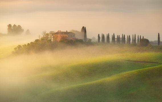 A Tuscan farmhouse and a row of slender cypresses float dreamlike in warm golden morning mist, soft green sunlit hills rolling gently below. Val d'Orcia, Italy.