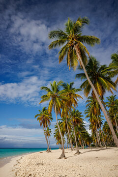 Playa Canto de la Playa, Saona Island, Dominican Republic, Caribbean,