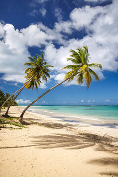 Playa El Portillo, Las Terrenas, Dominican Republic, Caribbean,